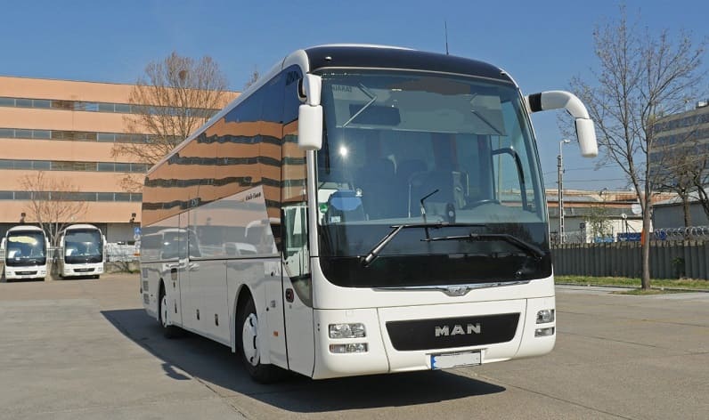 Region of Southern Denmark: Buses operator in Aabenraa in Aabenraa and Denmark