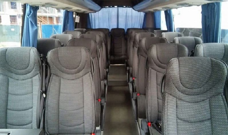 Denmark: Coach hire in Region of Southern Denmark in Region of Southern Denmark and Svendborg